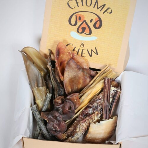 Power Chomper Box® - Assorted Dog Treats