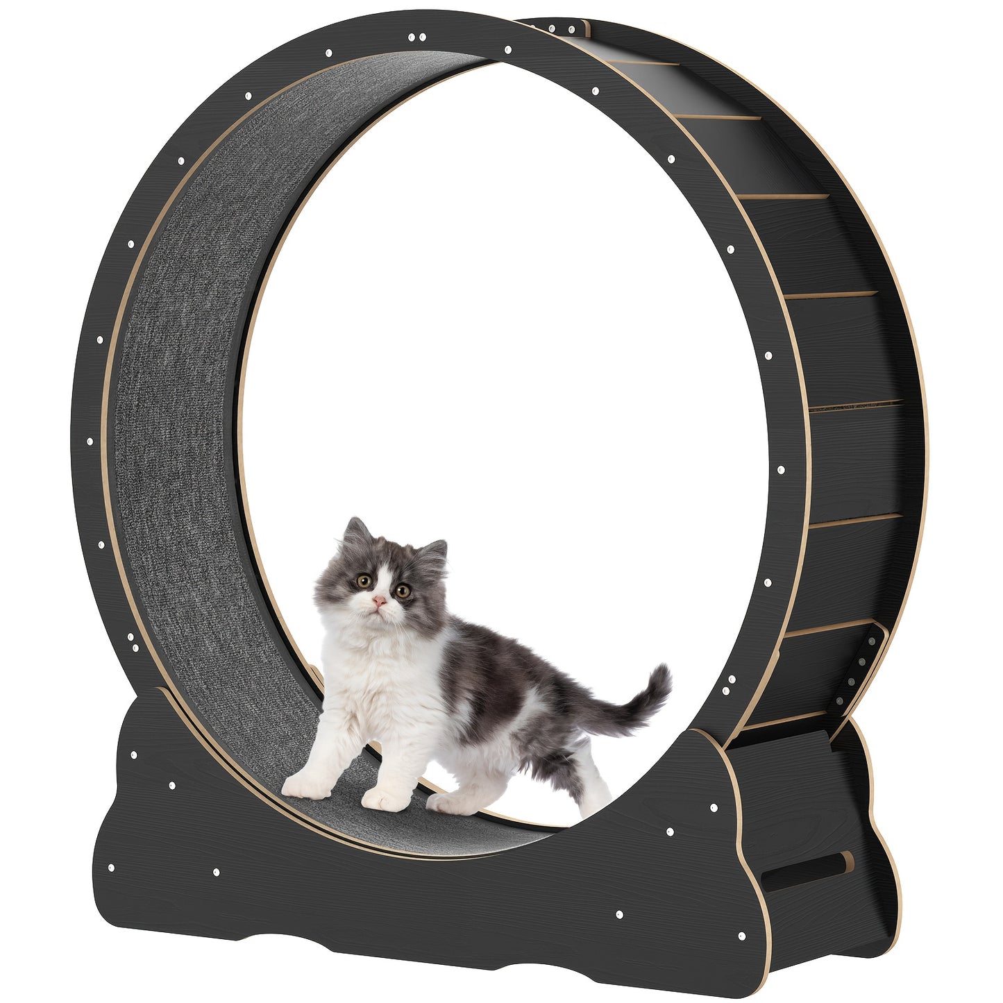 Large 91cm/100cm Cat Exercise Wheel - Recycled Wood Indoor Cat Treadmill with Silent Running Wheel, Detachable Carpeted Surface, Safety Lock & Adjustable Height - Sturdy Base for Stability, Ideal for Cats & Small Pets (Assemb