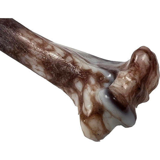 The Pet Shop Offers a Jurassic Bone Dog Chew Toy Designed for Aggressive Chewers, Ensuring Maximum Durability And Hours of Enjoyment for Your Pet, Dog Toy For Aggressive Chewer, Dog Accessory And Supplies