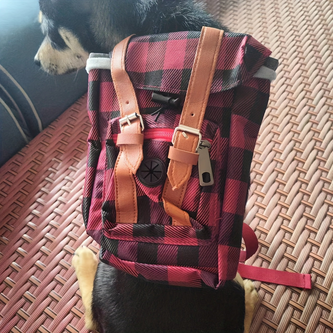 Practical Small-Medium Dog Backpack, Pet Harness. Suitable for Alaskan Malamute, Bulldog, Labrador, Corgi & Other Dog Breeds — Ideal for Outdoor Adventures, Outings & Daily Walks, And A Great Gift!