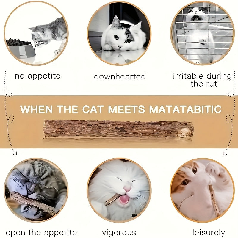 20pcs/Set. Cat Bite- A Tooth Health and Relaxation Toy with Fresh Fragrance, Safe and Non-Toxic, No Batteries Required, Suitable for Indoor Games and Soothing Gifts for Multi-Cat Families| Cat Fun| Cat Toy