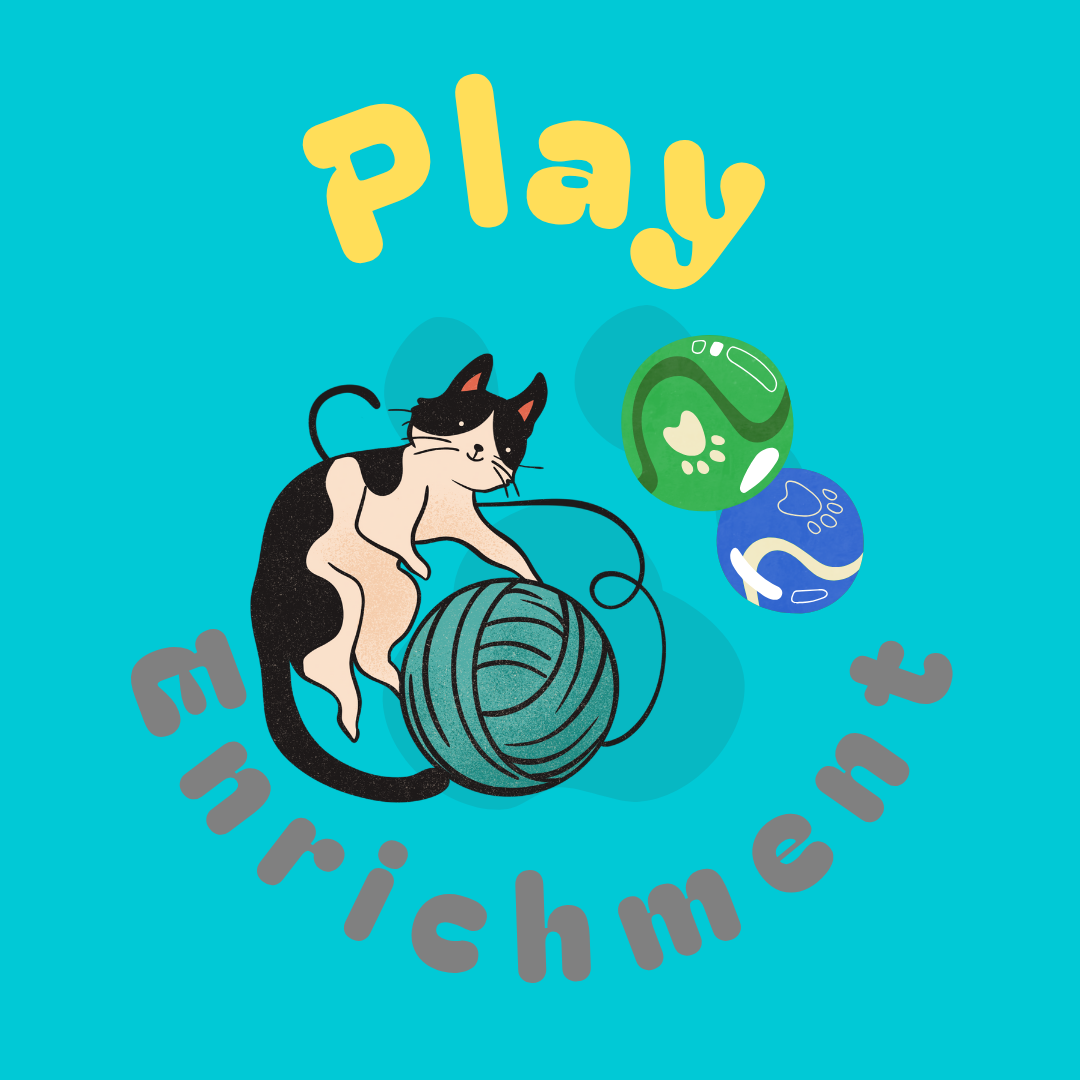 Play & Enrichment
