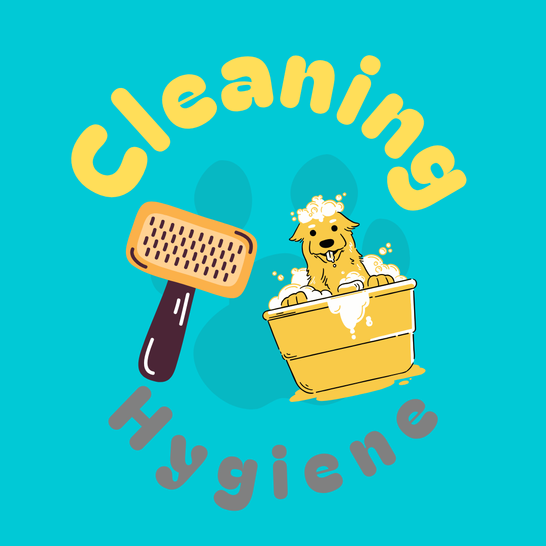 Cleaning & Hygiene
