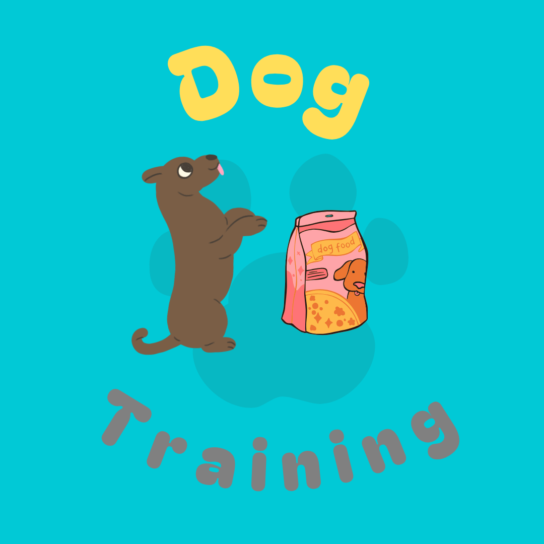 Dog Training