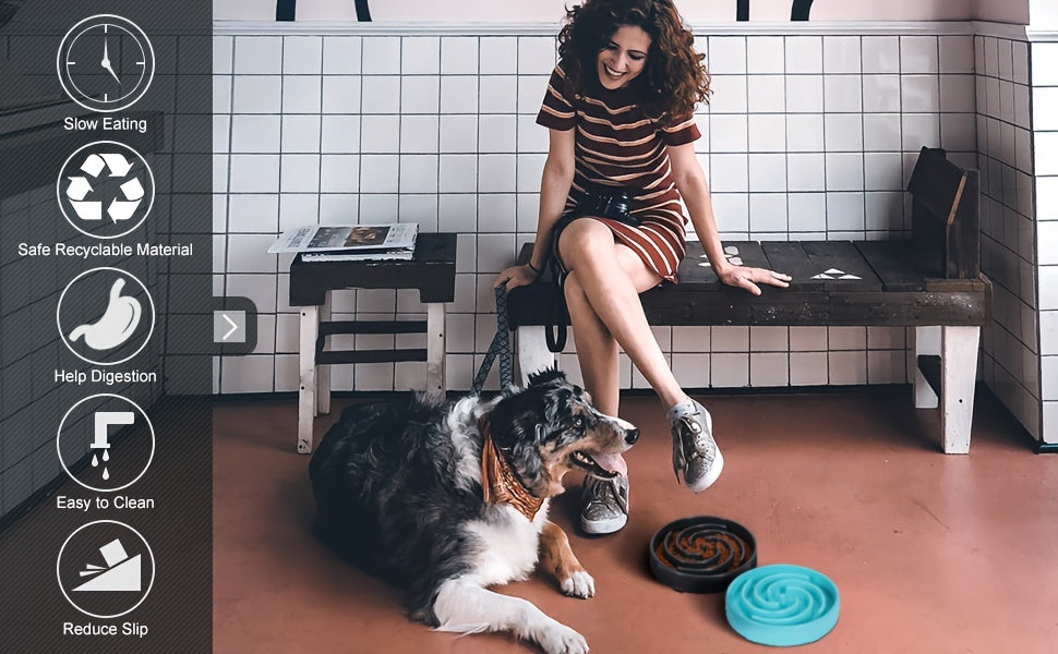 Ruicyg Large Slow Feeder Dog Bowl - Anti-Choke Maze Design for Healthy Eating, Durable PP Material, Ideal for Large Breeds, RUICYG