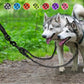 JOYTALE Reflective Dual Leash for 2 Dogs - No Tangle Walking Leash with Comfortable Handle