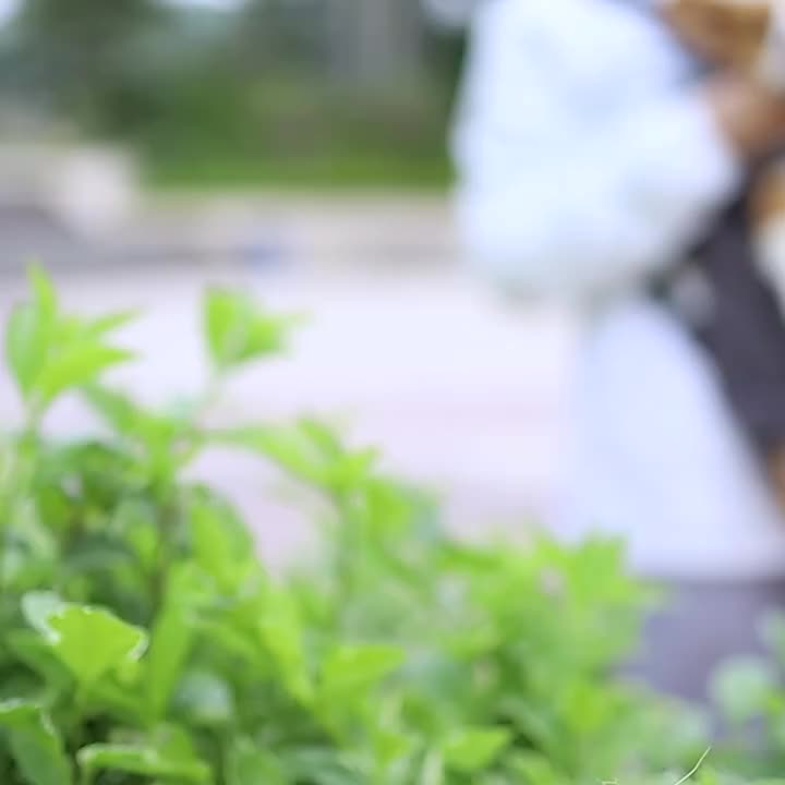 Adjustable Quilted Pet Carrier Backpack for Small to Medium Dogs - Cozy Fleece-Lined, Hands-Free Front Legs Out Chest Carrier with Zip Closure, Ideal for Hiking & Cycling - Available in Black, Beige, Pink, Gray, Olive Green,