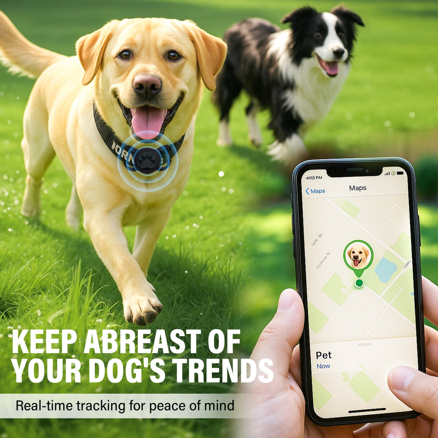 Cat Tracker, Dog Tracker, GPS Cat Tracker Collar, Real-Time Location Tracking, Loss Prevention, Ideal Choice for Pet Safety And Tracking, Cute Black