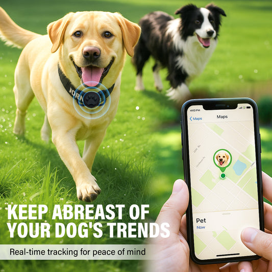 Cat Tracker, Dog Tracker, GPS Cat Tracker Collar, Real-Time Location Tracking, Loss Prevention, Ideal Choice for Pet Safety And Tracking, Cute Black