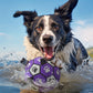 Durable Rubber Dog Soccer Ball with Straps - Interactive Chew-Resistant Pet Toy for All Breed Sizes, Purple & Black with Paw Print Design, Indoor/Outdoor Play & Training, Dog Ball Toy, Large Surface Area