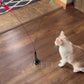 Cartoon Patterned Interactive Cat Toy Set - Polyester Artificial Feathers, Long Rod, Bell | No Battery, Uncharged, Strong Adhesive Base for Fun Play