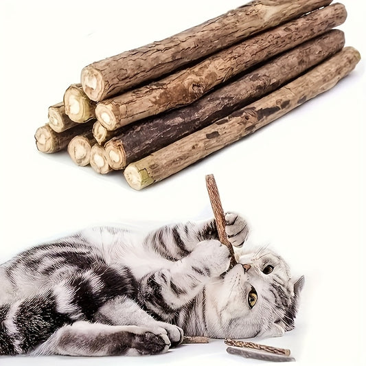 20pcs/Set. Cat Bite- A Tooth Health and Relaxation Toy with Fresh Fragrance, Safe and Non-Toxic, No Batteries Required, Suitable for Indoor Games and Soothing Gifts for Multi-Cat Families| Cat Fun| Cat Toy