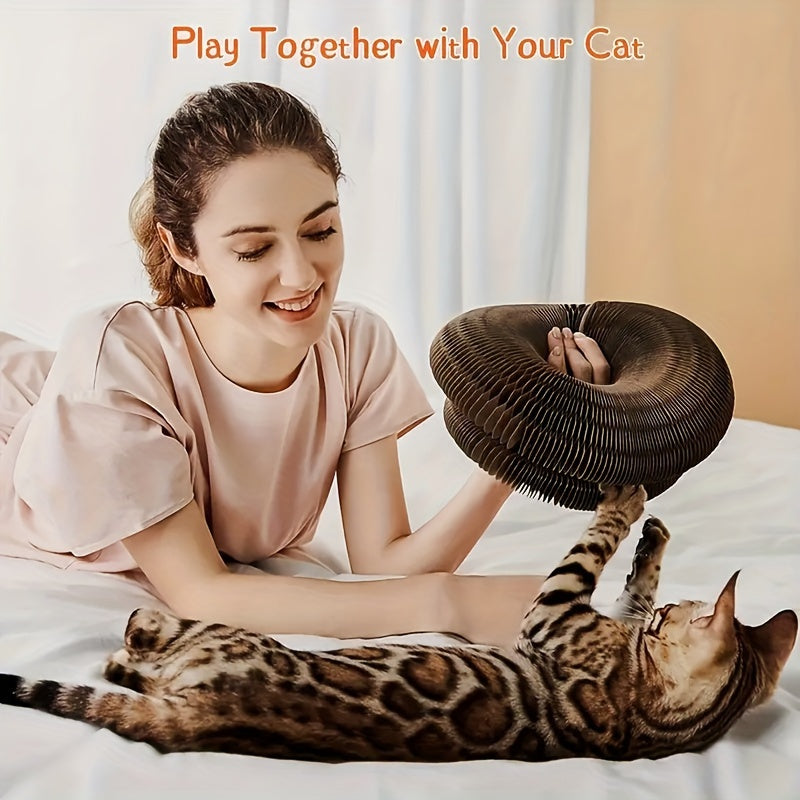 Interactive Foldable Cat Scratcher with Bell - Magnetic Honeycomb Design, Durable Play Pad for All Cats' Exercise & Mental Stimulation, Cat Toy