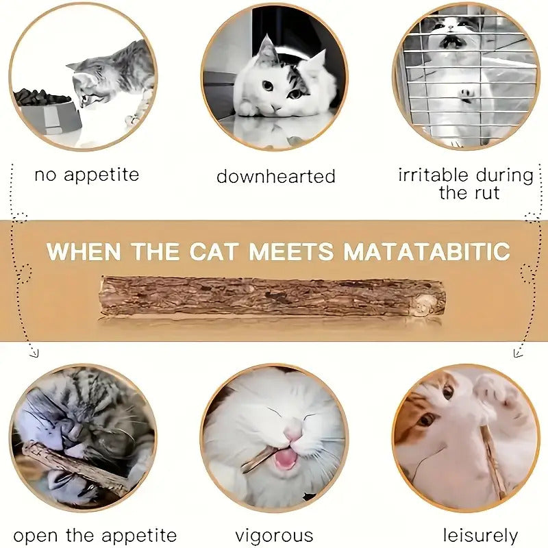 20pcs/Set. Cat Bite- A Tooth Health and Relaxation Toy with Fresh Fragrance, Safe and Non-Toxic, No Batteries Required, Suitable for Indoor Games and Soothing Gifts for Multi-Cat Families| Cat Fun| Cat Toy