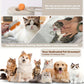 2pcs Pet Spritz Comb, 3-In-1 Cat Steam Brush, USB Charging Convenience, 360° Rotating Pet Steam Brush for Cats and Dogs, Cat Brush, Pet Cleaning, Easytouse Comb, Petsafe Material, Grooming Comb, Cat Lovers, Pet Owners