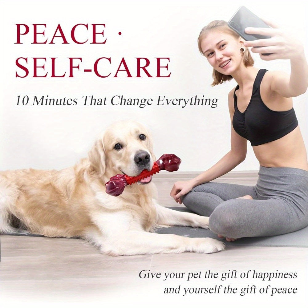 [Heavy-Duty Chew Toy] Apasiri Heavy-Duty Chew for Large Breed & Aggressive Chewers - Beef Flavor Dental Dog Toys With Nylon & Rubber Construction, Indestructible Chew Toy for Puppy Teething, Dental Health - Compatible With Al