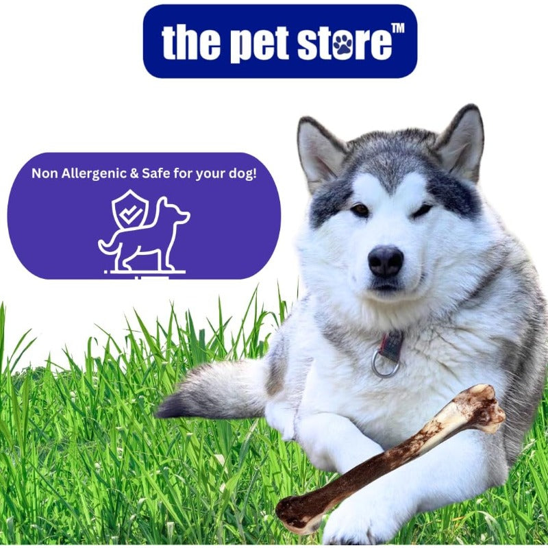 The Pet Shop Offers a Jurassic Bone Dog Chew Toy Designed for Aggressive Chewers, Ensuring Maximum Durability And Hours of Enjoyment for Your Pet, Dog Toy For Aggressive Chewer, Dog Accessory And Supplies