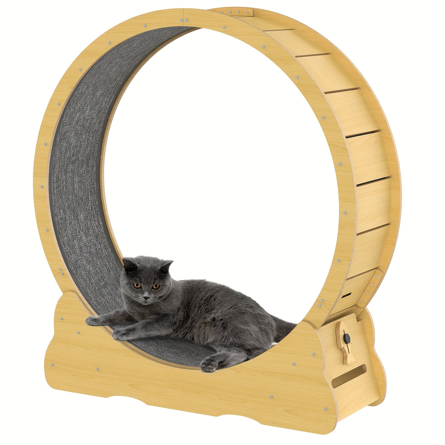 Large 91cm/100cm Cat Exercise Wheel - Recycled Wood Indoor Cat Treadmill with Silent Running Wheel, Detachable Carpeted Surface, Safety Lock & Adjustable Height - Sturdy Base for Stability, Ideal for Cats & Small Pets (Assemb