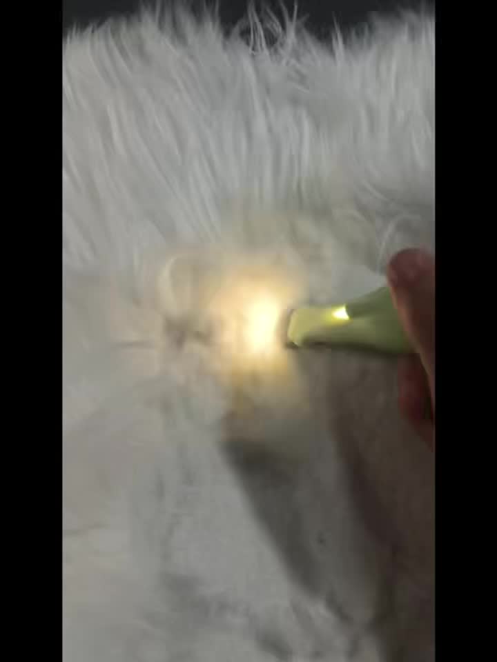 Dog Nail Trimmers with LED Light, Low Noise Pet Clippers, 18mm Blade Waterproof Rechargeable Dog Nail Clippers & Cat Nail Clipper for Grooming Paws, Ears, Face, Eyes