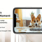 2PCS BoyKeep 5g/2.4ghz WiFi Smart Camera, High-definition Indoor Safety Monitor, Special Safety Camera For Babies And Pets, 360° Panoramic Surveillance Video, Night Vision, Two-way Calls, Memory Card And Cloud Storage, K30