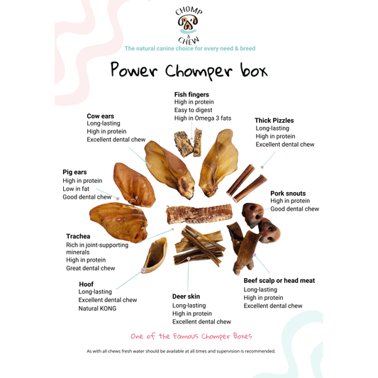 Power Chomper Box® - Assorted Dog Treats