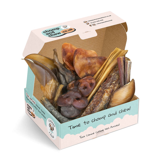 Power Chomper Box® - Assorted Dog Treats