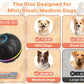Interactive Dog Toy Ball - Large, Smart Bouncing Ball for Pets | Intelligent Jumping, Rolling, Durable, USB Rechargeable