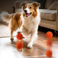 The smart dog toy ball features automatic moving, bouncing, and rotating functions, as well as an intelligent sleep mode and tap-to-start function. Made of E-TPU material, it is a dynamic rolling ball specially designed for m