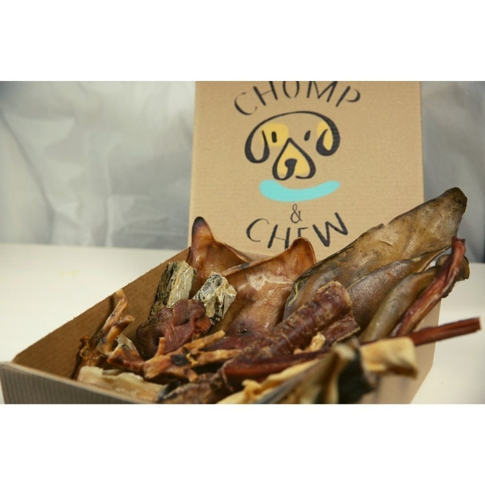 Power Chomper Box® - Assorted Dog Treats