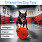 The smart dog toy ball features automatic moving, bouncing, and rotating functions, as well as an intelligent sleep mode and tap-to-start function. Made of E-TPU material, it is a dynamic rolling ball specially designed for m