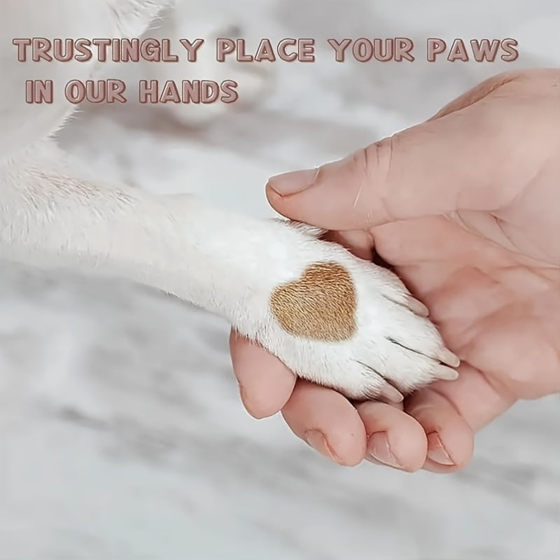 Pet Nail Care | Dog Nail File | Scratch Square for Dogs | Stress-Free Nail Care | Durable PP Material