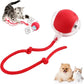 3pcs Pet Self-Entertainment Toy Set: 1 Round Double-Layer Hunting Cover + 2 Red Automatic Cat Balls