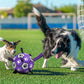 Durable Rubber Dog Soccer Ball with Straps - Interactive Chew-Resistant Pet Toy for All Breed Sizes, Purple & Black with Paw Print Design, Indoor/Outdoor Play & Training, Dog Ball Toy, Large Surface Area