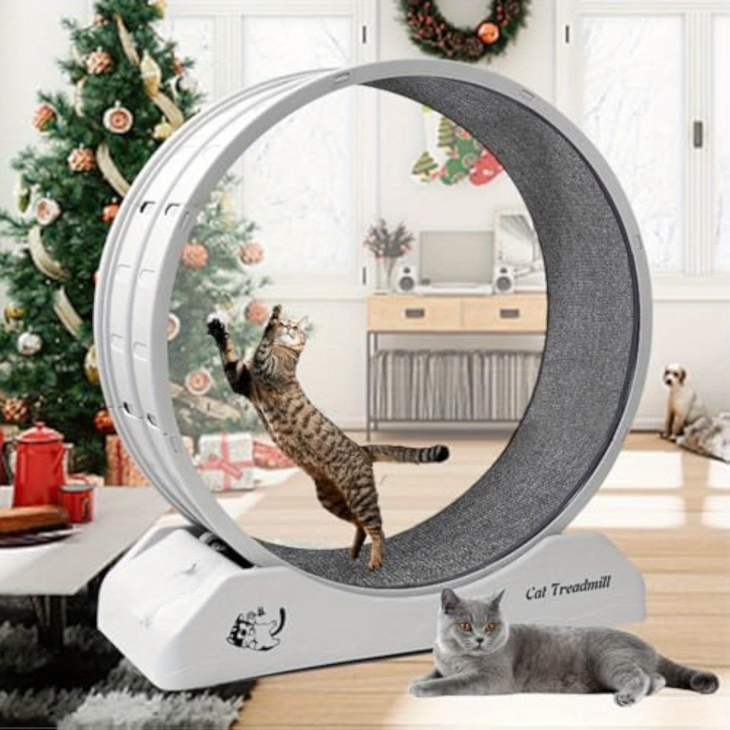 Easyclean | Large 80.01cm Cat Exercise Wheel with Soft Carpeted Runway – Durable ABS Plastic Indoor Treadmill for Cats, Stable Design, Easy-Clean Removable Mat, Safety Brake, and Comfortable Paw Touch