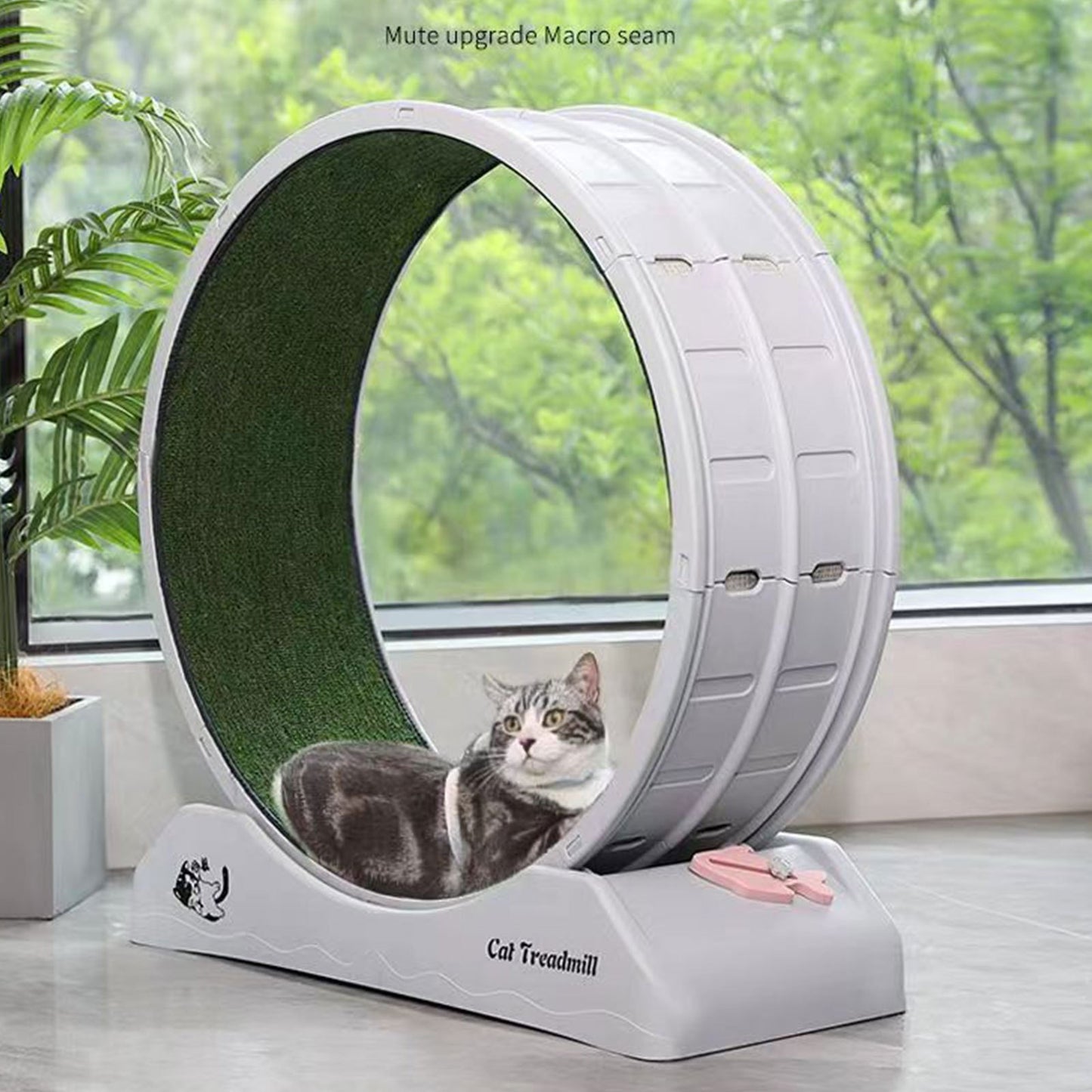 Easyclean | Large 80.01cm Cat Exercise Wheel with Soft Carpeted Runway – Durable ABS Plastic Indoor Treadmill for Cats, Stable Design, Easy-Clean Removable Mat, Safety Brake, and Comfortable Paw Touch