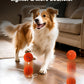 The smart dog toy ball features automatic moving, bouncing, and rotating functions, as well as an intelligent sleep mode and tap-to-start function. Made of E-TPU material, it is a dynamic rolling ball specially designed for m