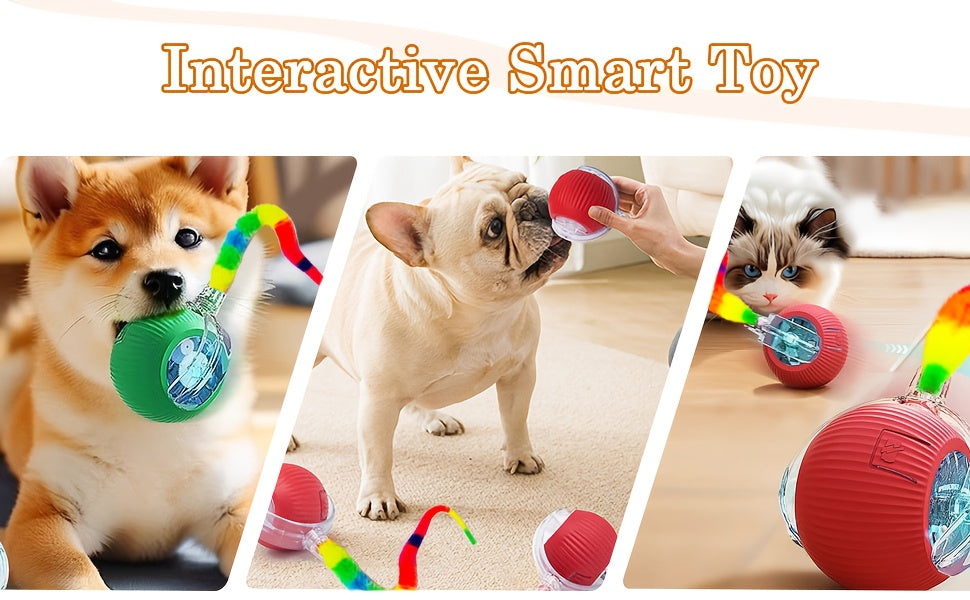 BonreLife Automatic Rolling Cat Ball Toy with LED Lights, USB Rechargeable, Bite-Resistant Silicone, Safe for All Cat Sizes - Interactive Indoor Play for Cats, Interactive Cat Toy